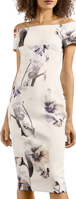 ted baker nicee dress